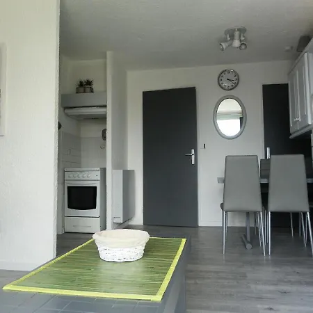 Apartment Studio 5 Pers Skis Aux Pieds 69017 *