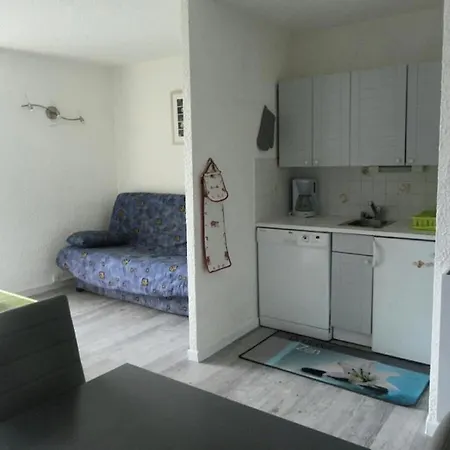 Apartment Studio 5 Pers Skis Aux Pieds 69017 *